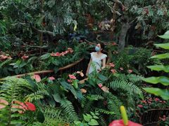 -正佳雨林生态植物园