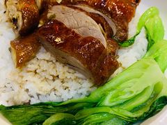 烤鸭叉烧双拼饭-德宏记·茶餐厅(新辰里学清路店)