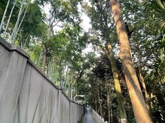 -上海佘山国家森林公园西佘山园