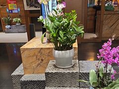 -黔蘑菇四季餐厅(观山湖店)