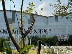 -芭厘农庄老字号·清远鸡