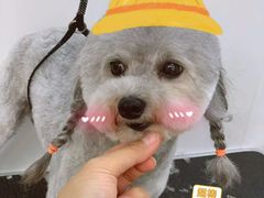 -北京恒爱动物医院(清景园分院)