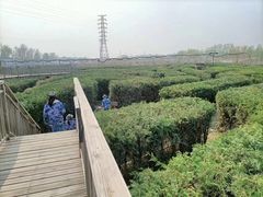 -亲兄弟真人CS团建拓展基地