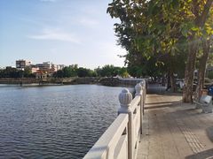 -OLD TREE老树咖啡·西餐厅(台山人工湖店)