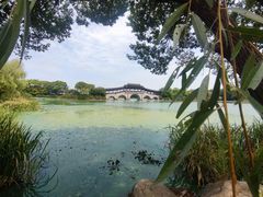 -长广溪湿地公园