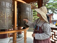 -上海东林寺(金山区)