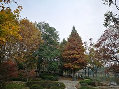 -白塘生态植物园