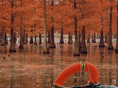 -白鹭湾湿地公园