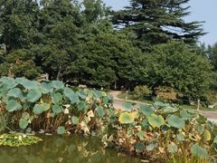 -国家植物园南园