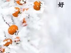 -自然之声助听器(平凉店)