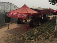 -庞各庄西瓜蔬菜采摘园·锦华瓜园