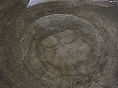 -盐洲岛