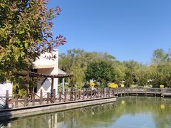 -鲤鱼山公园