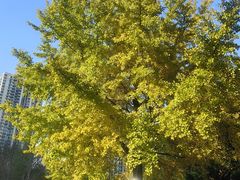 -苏州河梦清园环保主题公园