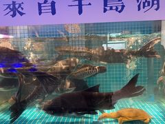 -鸽子侯·家宴·平价海鲜(市图书馆店)