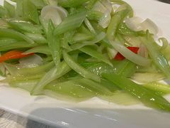 -丁老爷子苏香圆