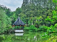 -上海醉白池公园