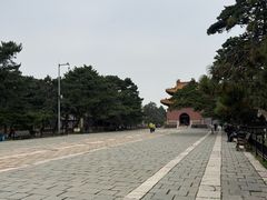 -北陵公园