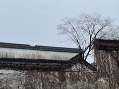 -观潮胜地公园