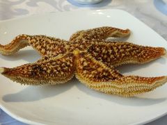 清蒸海星-海岛渔村大酒店(云霄路店)