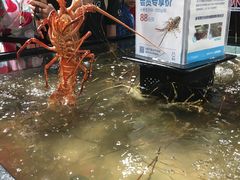 -盒马鲜生(曜一城店)
