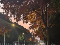 -杭州电子科技大学(下沙校区)