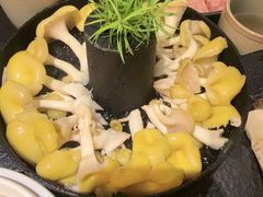 -季季山·云南野生菌火锅(上海首店)