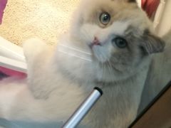 -乐宠宠物店(世纪金源店)