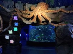 -多彩贵州城极地海洋世界