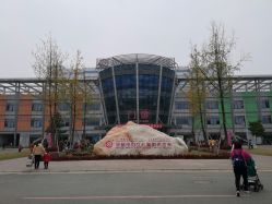 -成都市妇女儿童中心医院(中心院区)