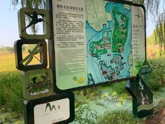 -长兴太湖图影湿地文化园