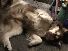 -故事小酒馆
