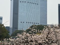 -白塘生态植物园