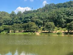 -南国桃园旅游度假区