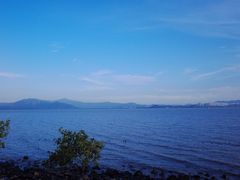 -深圳湾公园(南山区)