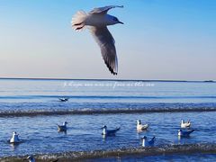 -金梦海湾浴场