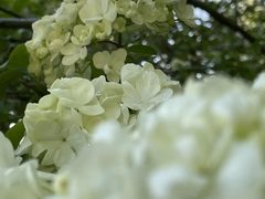 -上海方塔园