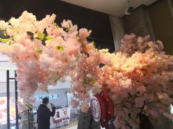 -IN STYLE·全国形象店