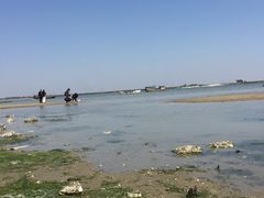 -北海金海湾红树林生态旅游区