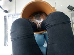 -派恩宜灰指甲鸡眼嵌甲手足癣