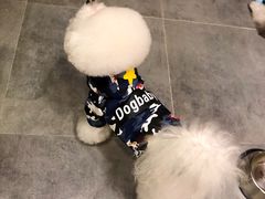 -小尾巴宠物店(万科·金域华庭店)