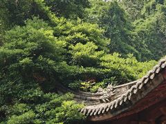 -韬光茶庵