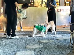 -J Create城市露营咖啡·简餐·宠物(上海动物园店)