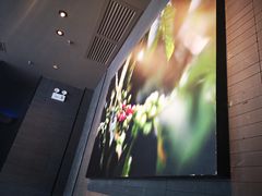 -星巴克(福州大洋百货分店)