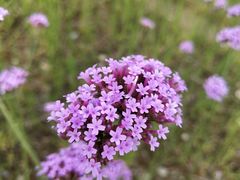 -杭州城北体育公园