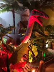 -恐龙探索乐园(磁器口店)