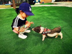 -萌宠亲子动物乐园(槐房万达店)