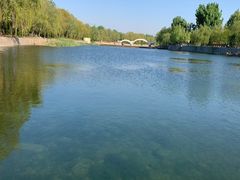 -四门塔风景区