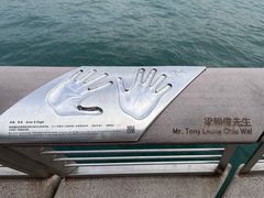 -星光大道