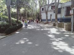 -西安市长乐公园